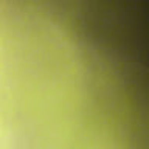 Meet your Posher, Wade